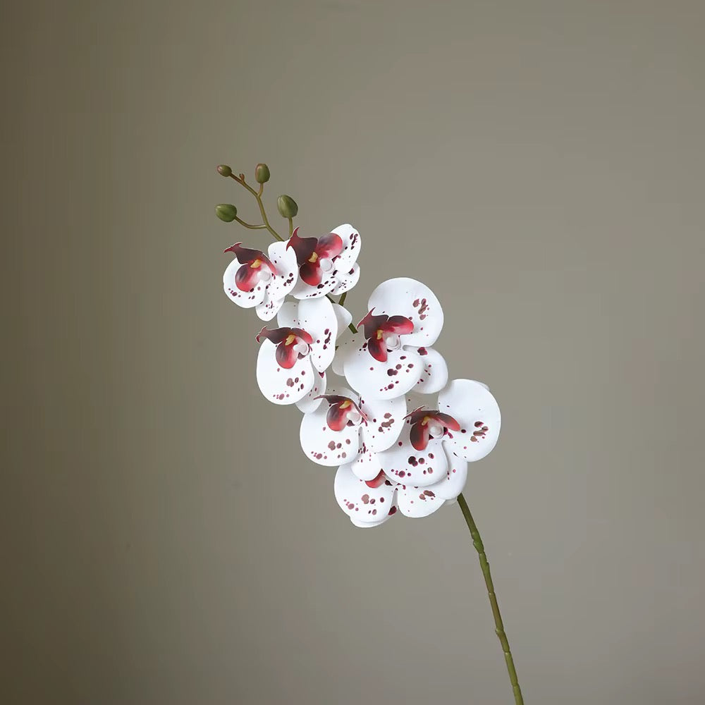 Artificial Butterfly Orchid Stem — additional product view 6 at AK Home