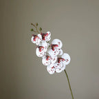 Artificial Butterfly Orchid Stem — additional product view 6 at AK Home