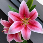 Artificial Real Touch 3-Head Lily Flower — additional product view 2 at AK Home