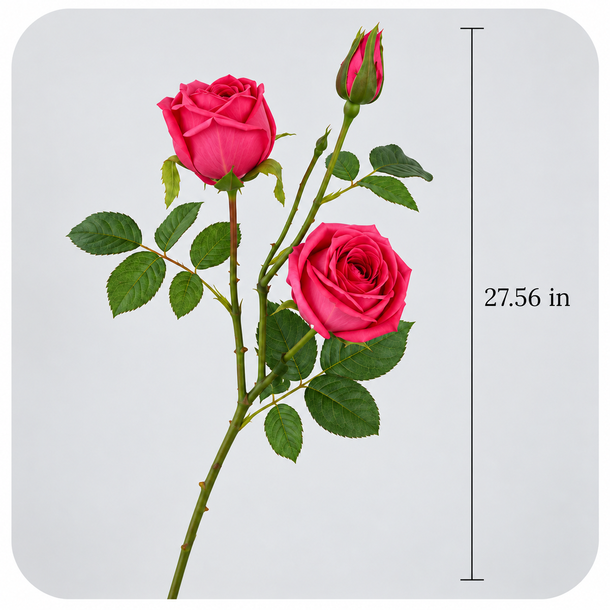 Artificial Real-Touch 3-Head Rose Flower Stem — additional product view 2 at AK Home