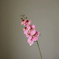 Artificial Butterfly Orchid Stem — product photograph at AK Home