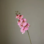 Artificial Butterfly Orchid Stem — product photograph at AK Home