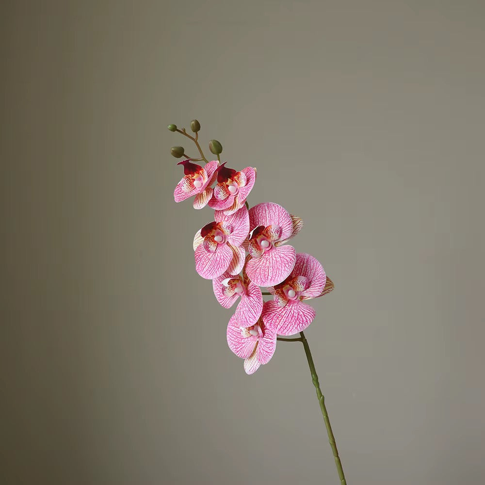 Artificial Butterfly Orchid Stem — product photograph at AK Home