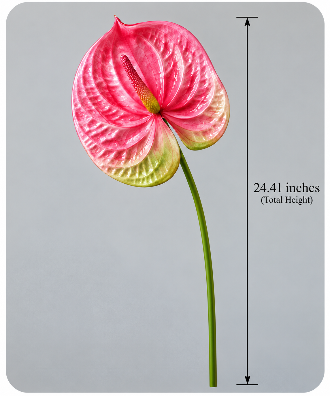 Real Touch Artificial Anthurium Flower — additional product view 2 at AK Home