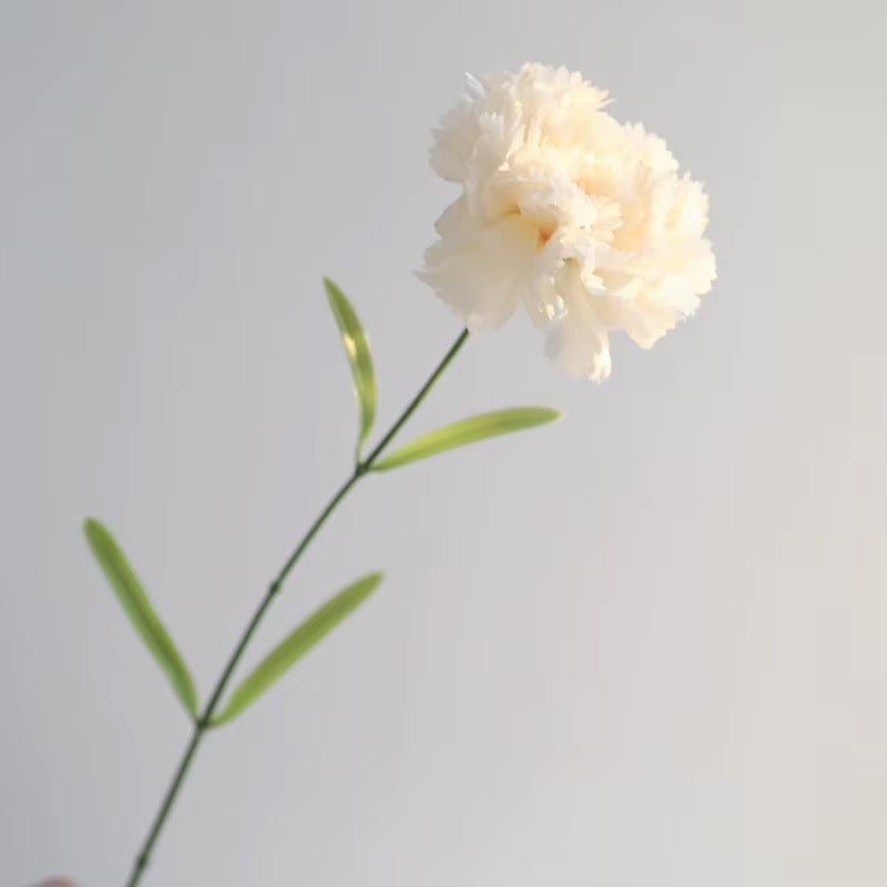 Artificial Long-Stem Carnation Flower — additional product view 6 at AK Home