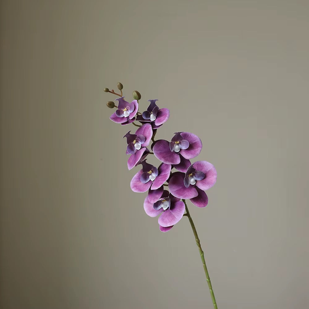 Artificial Butterfly Orchid Stem — additional product view 4 at AK Home