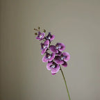 Artificial Butterfly Orchid Stem — additional product view 4 at AK Home