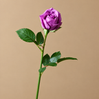 Artificial Real-Touch Purple Rose Stem — product photograph at AK Home