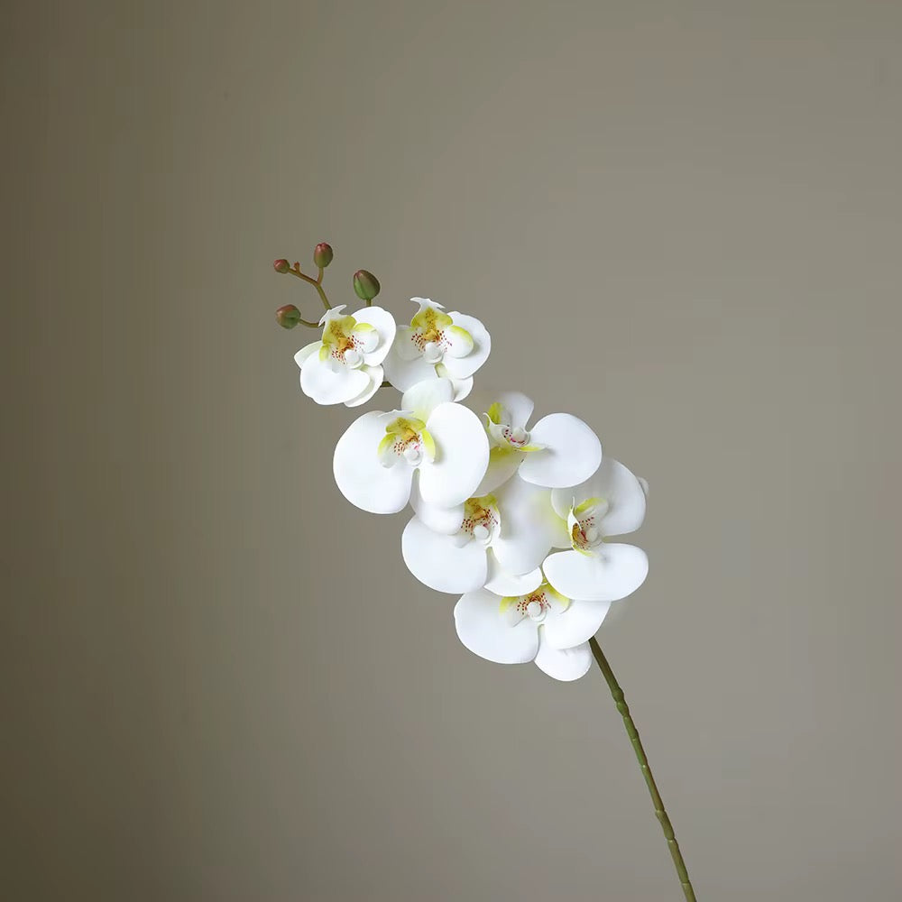 Artificial Butterfly Orchid Stem — additional product view 2 at AK Home