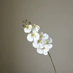Artificial Butterfly Orchid Stem — additional product view 2 at AK Home